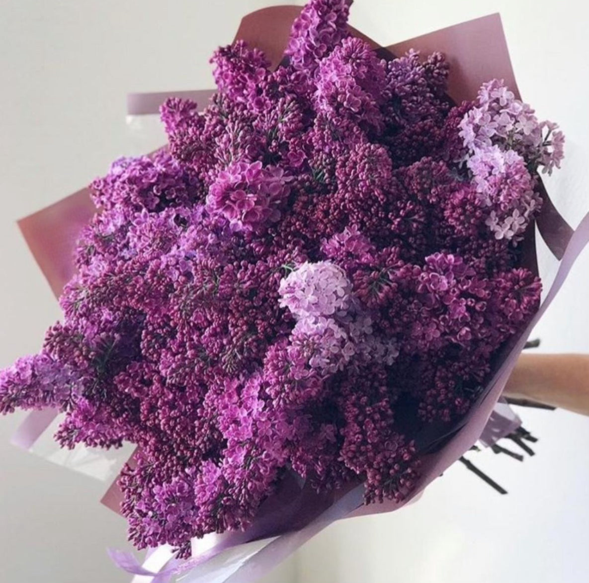 Purple Lilac bouquet